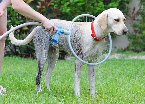 360 Round Pet Washer