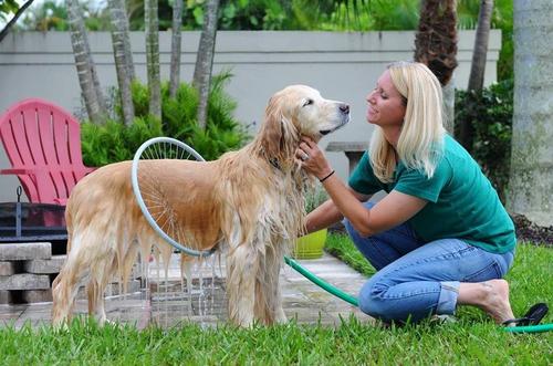 360 Round Pet Washer