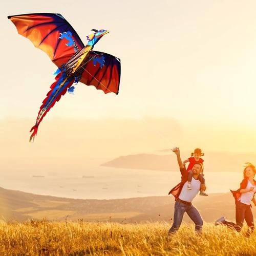 3D Dragon Single Line Kite For Adult Kids Classical Sports Outdoor Easy To Fly