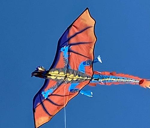 3D Dragon Single Line Kite For Adult Kids Classical Sports Outdoor Easy To Fly photo review