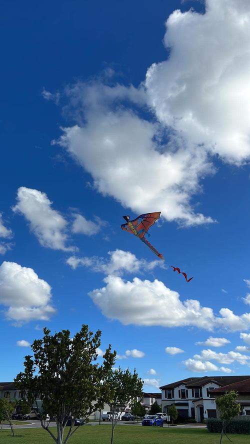 3D Dragon Single Line Kite For Adult Kids Classical Sports Outdoor Easy To Fly photo review