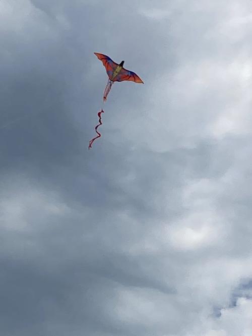 3D Dragon Single Line Kite For Adult Kids Classical Sports Outdoor Easy To Fly photo review