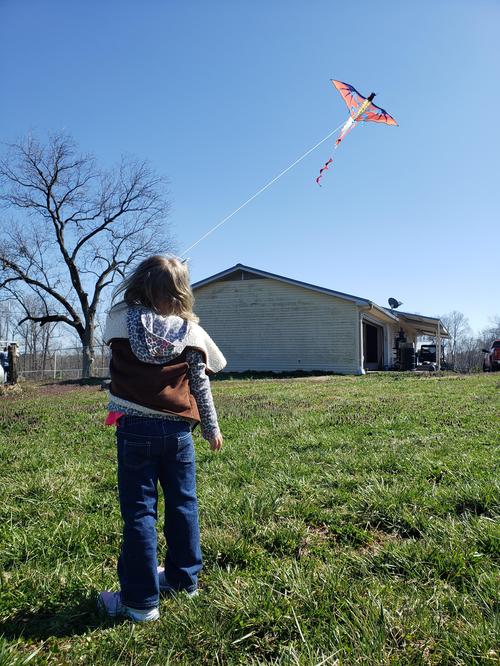 3D Dragon Single Line Kite For Adult Kids Classical Sports Outdoor Easy To Fly photo review