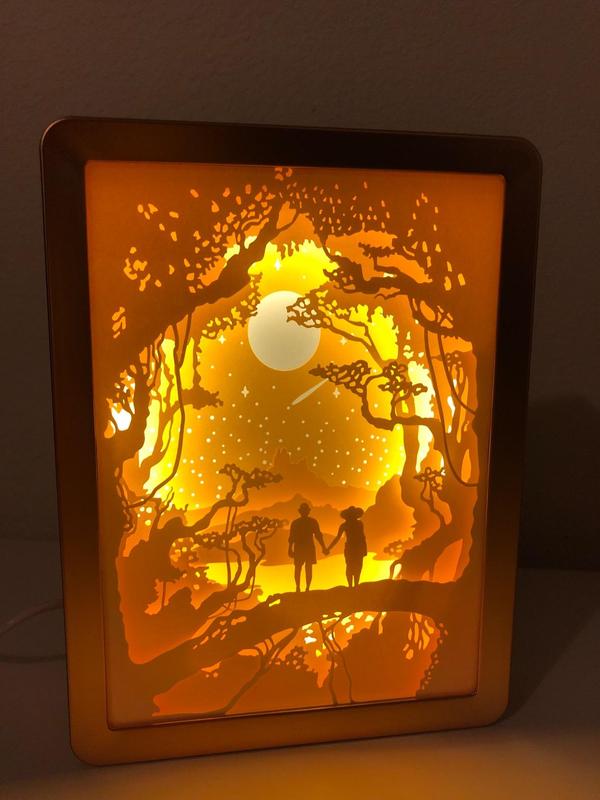 3D Paper Carving Night Light - Papercut Lightbox LED Table Lamp Home Decor photo review