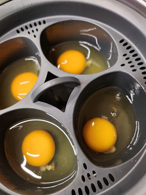 4-in-1 Egg Poacher Cooker with Steamer Tray, Easy to Use and Clean photo review