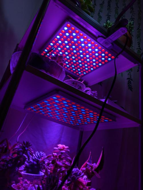 45W LED Grow Light, Full Spectrum for Indoor Plants, Veg & Flower photo review