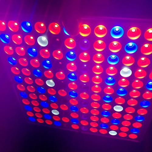 45W LED Grow Light, Full Spectrum for Indoor Plants, Veg & Flower photo review