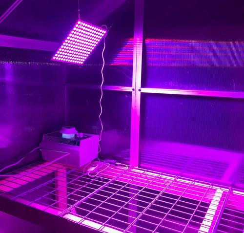 45W LED Grow Light, Full Spectrum for Indoor Plants, Veg & Flower photo review