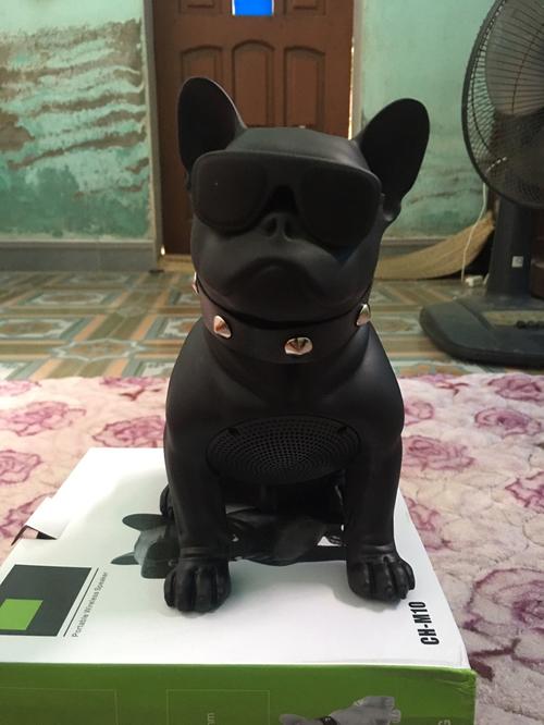 Aero Giant Bluetooth Bulldog Speaker! photo review