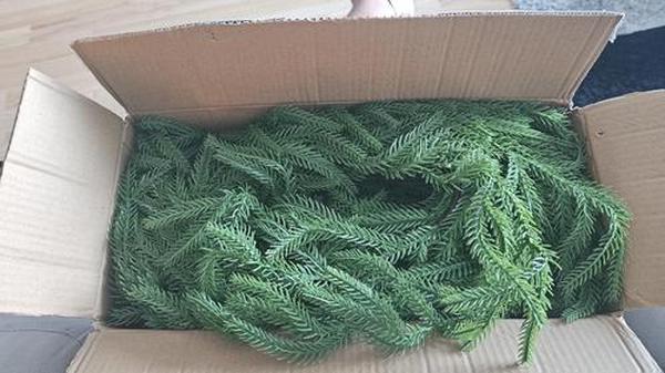 Artificial Norfolk Pine Garland, Real Touch Winter Pine Garland, Green Artificial Greenery Garland photo review