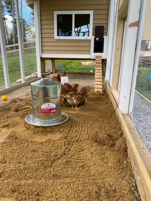 Automatic Chicken Coop Door With Light Sensing photo review