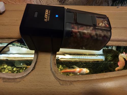 Automatic Fish Feeder photo review