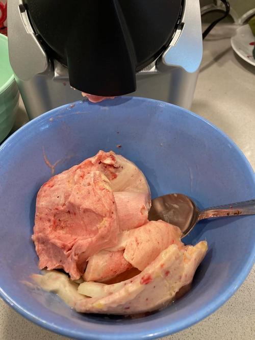 Automatic Fruit Ice Cream Maker photo review