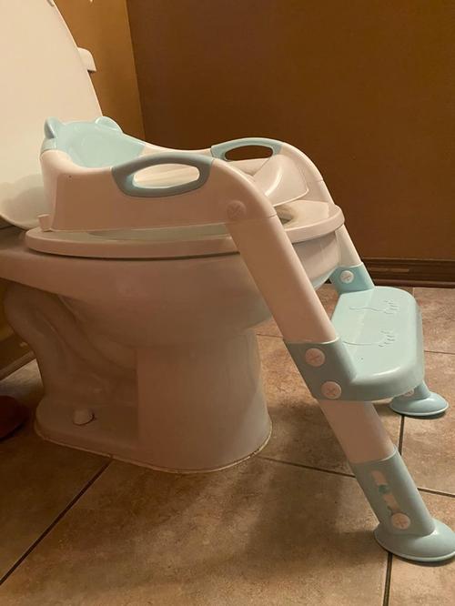 Baby Toilet Training Seat With Adjustable Ladder photo review