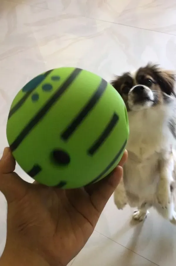 Ball Interactive Dog Toy Fun Giggle Sounds When Rolled photo review