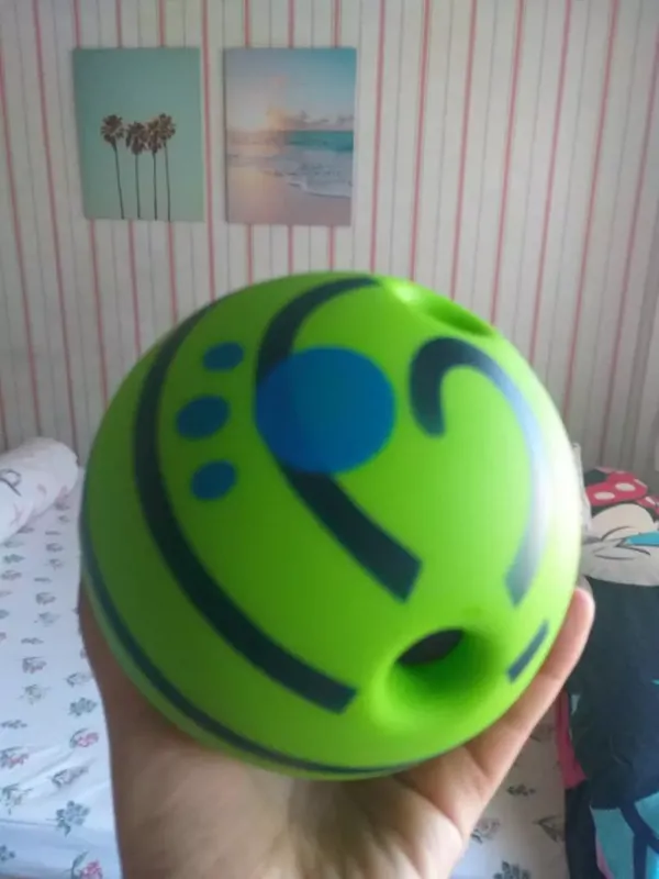 Ball Interactive Dog Toy Fun Giggle Sounds When Rolled photo review