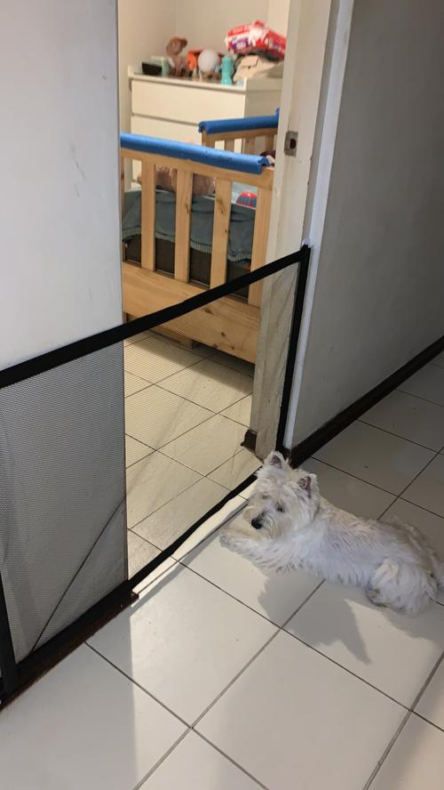 Best Pet Isolation Safety Dog Gate photo review