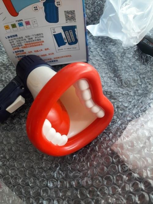 Big Mouth Funny Megaphone Recording Speaker - Kids Voice Changer photo review