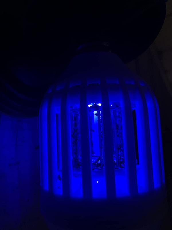 Bug Zapper Led Light Bulb photo review