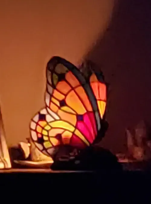 Butterfly Table Lamp - Stained Glass Hotel Decor Night Light photo review