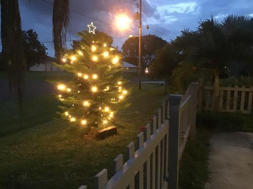 Christmas Tree Topper Large 5 Point Star Treetop with LED Warm White Lights, LED Tree Top Light Three-dimensional Luminous Star Light photo review