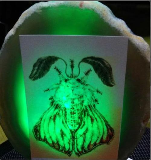 Creative Wooden Table Lamp Dog Paw Bedroom Decoration Night Light photo review