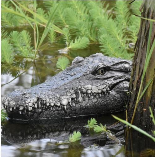 Crocodile Head Remote Control Boat