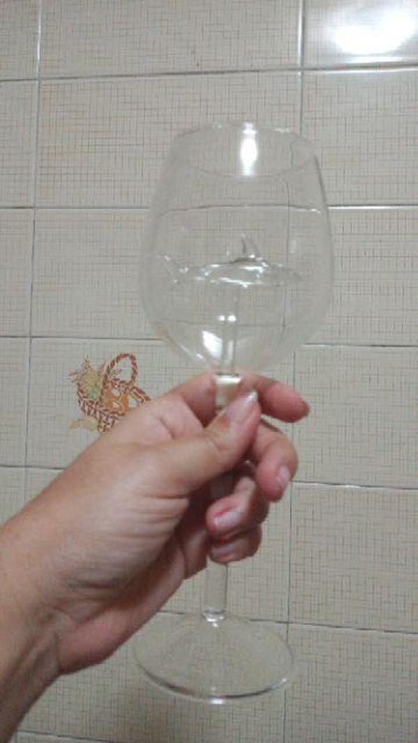 Crystal Shark Wine Glass photo review