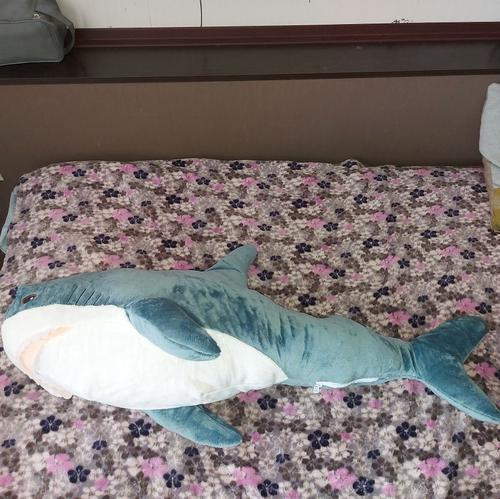 Cute and cuddly shark plush toy - perfect for bedroom, sofa, or story time photo review