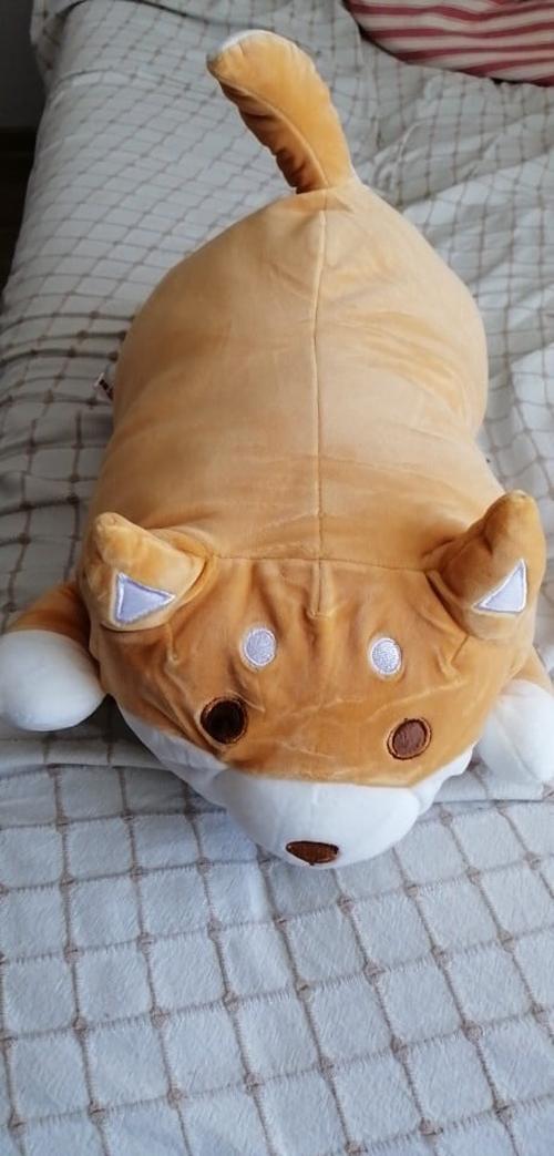 Cute Fat Shiba Inu Plush Stuffed Toy/Pillow photo review