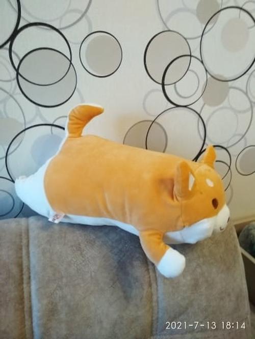 Cute Fat Shiba Inu Plush Stuffed Toy/Pillow photo review