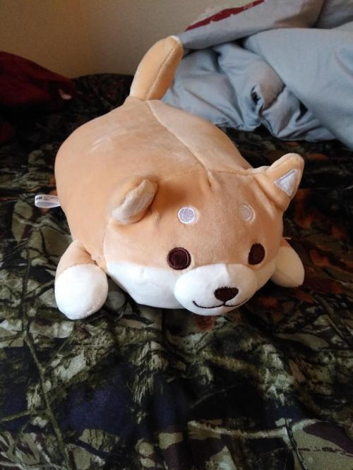 Cute Fat Shiba Inu Plush Stuffed Toy/Pillow photo review