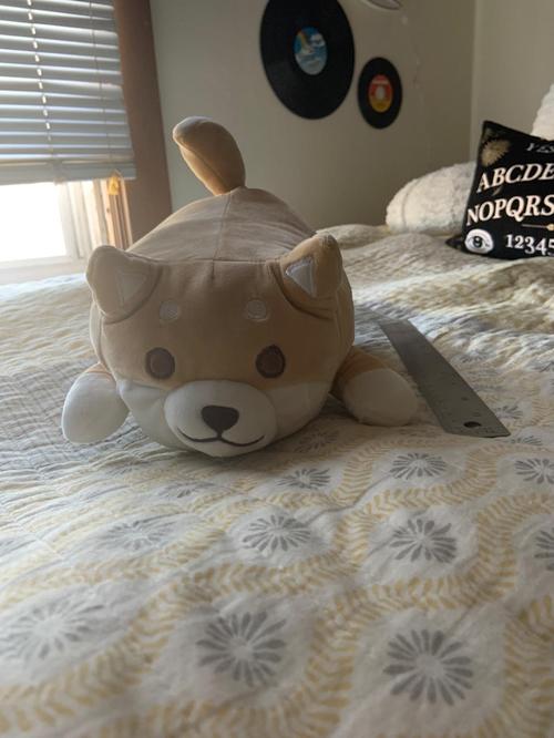 Cute Fat Shiba Inu Plush Stuffed Toy/Pillow photo review