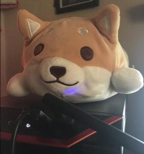 Cute Fat Shiba Inu Plush Stuffed Toy/Pillow photo review