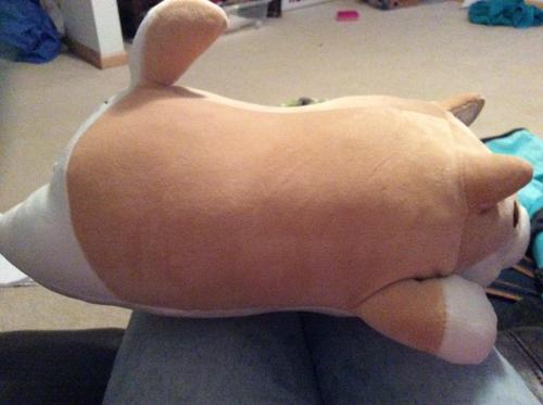 Cute Fat Shiba Inu Plush Stuffed Toy/Pillow photo review