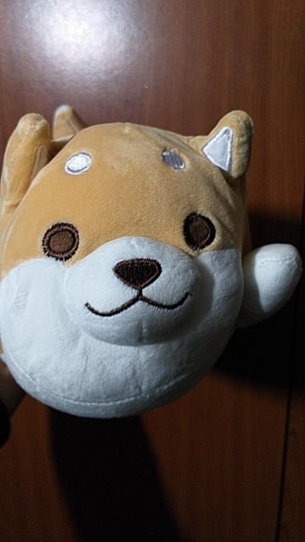 Cute Fat Shiba Inu Plush Stuffed Toy/Pillow photo review