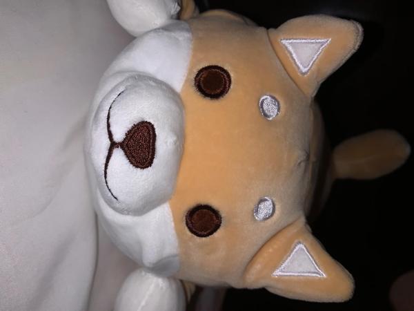 Cute Fat Shiba Inu Plush Stuffed Toy/Pillow photo review