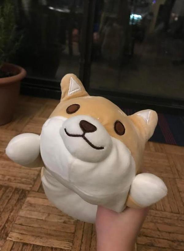 Cute Fat Shiba Inu Plush Stuffed Toy/Pillow photo review