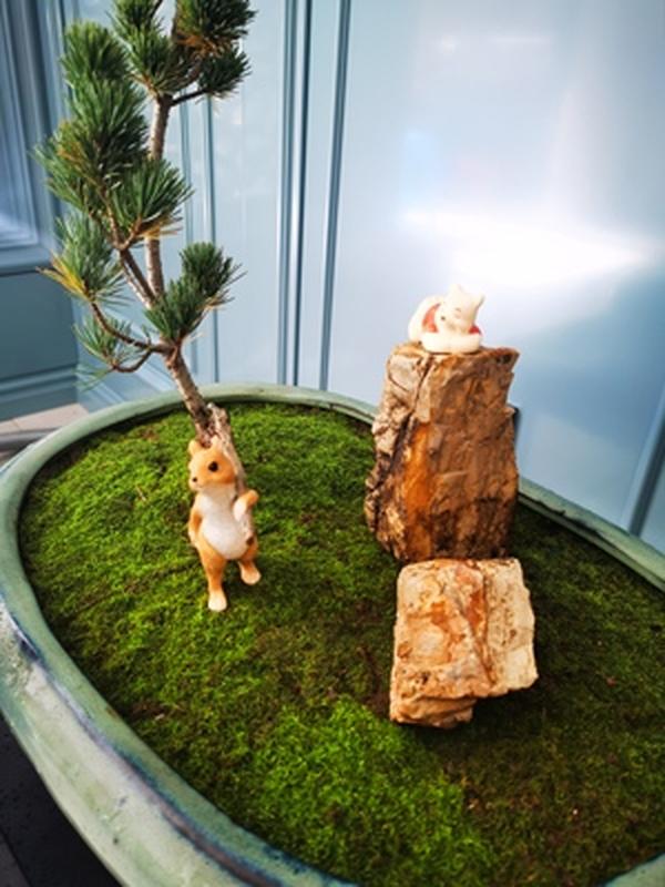 Cute Squirrel Ornaments Home Creative Resin Decorations photo review