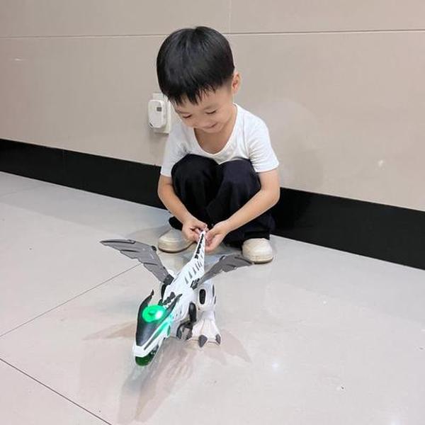 Dinosaur Toys for Kids, Electric Walking Dinosaur Robot with Fire Breathing & Mist Spray and Roar Sounds, Mist Spraying Robot Dragon Toy photo review