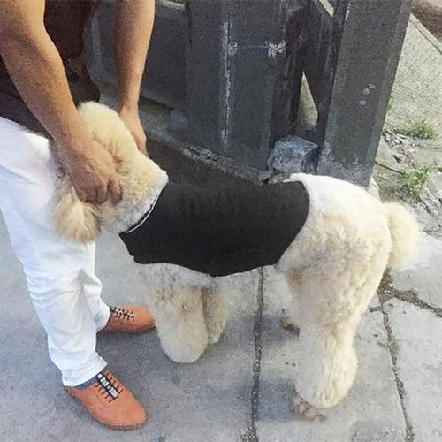 Dog Anti-Anxiety Thundershirt