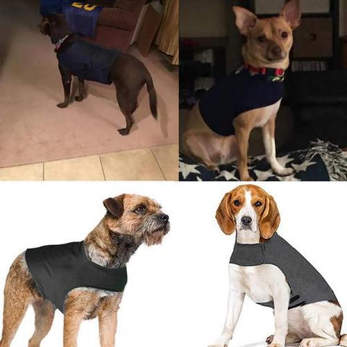 Dog Anti-Anxiety Thundershirt