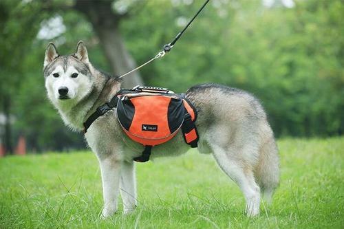 Dog Backpack Harness