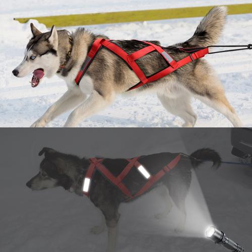 Dog Harness Weight Pulling Sledding Harness Mushing Back Harness For Large Dogs Husky Canicross Skijoring Scootering