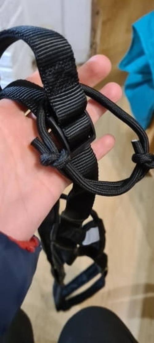 Dog Harness Weight Pulling Sledding Harness Mushing Back Harness For Large Dogs Husky Canicross Skijoring Scootering photo review