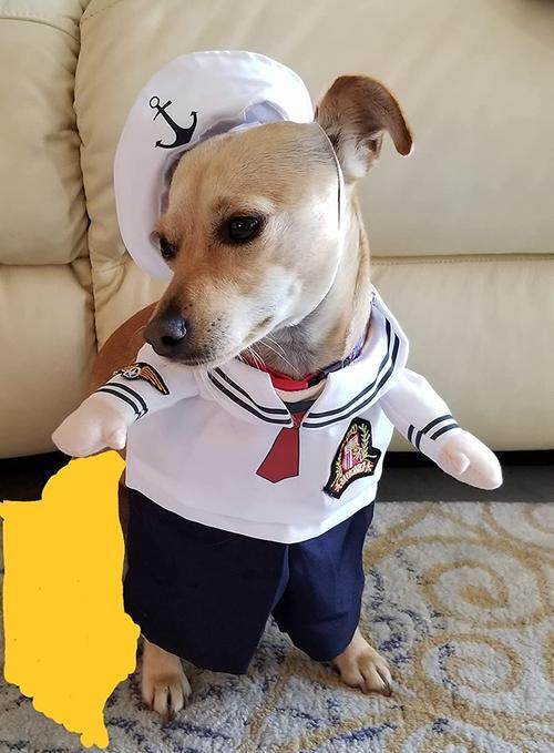 Dog Sailor Costume, Fashion Minimalist Cats And Dogs Pet Clothing photo review