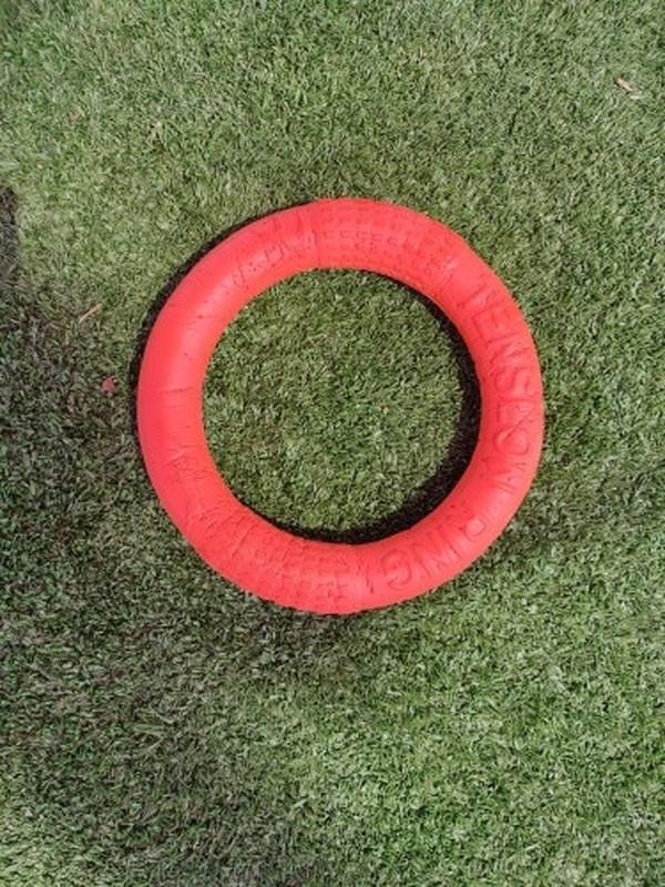 Dog Toys for Training, Puller, Flying Disk, Chewing, Outdoor Play photo review