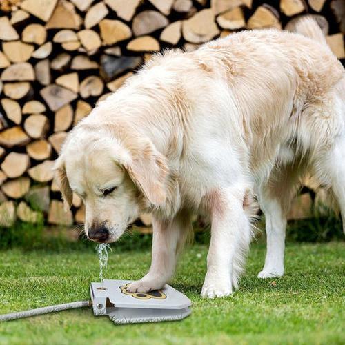 Doggie Water Fountain Sprinkler