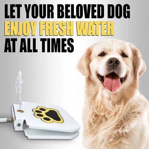 Doggie Water Fountain Sprinkler