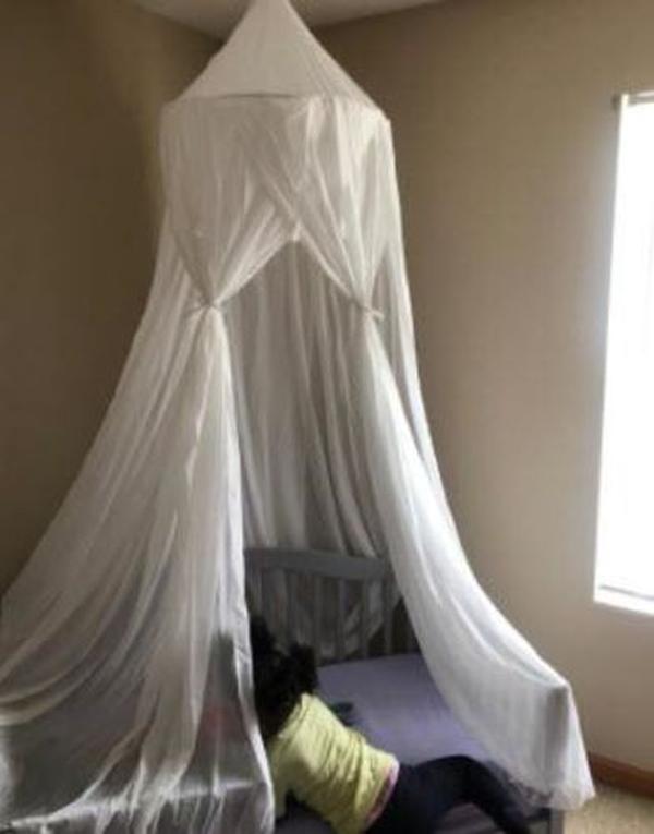 Dome Princess Mosquito Net Bed Canopy Hanging House Decoration photo review